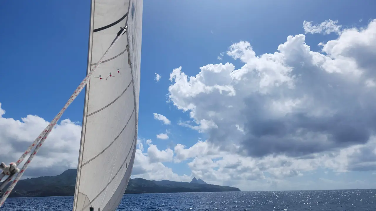 Bliss's mainsail against the green St Lucian coastline